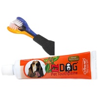 Dental Toothpaste & Brush Kit Large