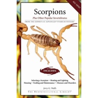 A Guide to Keeping Scorpions 