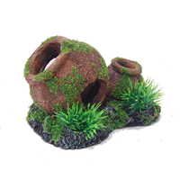 Aquatopia Clay Pot With Moss