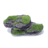 Aquatopia Flat Rock with Moss
