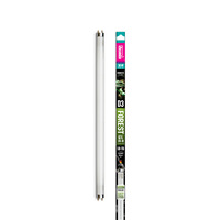 Arcadia Reptile Forest D3 6% UVB T8 30w 36"