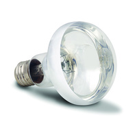 Arcadia Reptile Lamp BaskSolar 150w