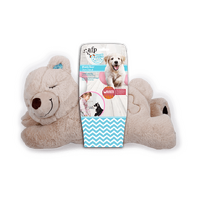 All for Paws Little Buddy Comfort Bear
