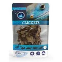 Superfresh Insects Jurassic Natural Crickets 6g