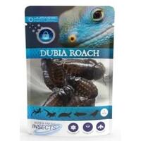Superfresh Insects Jurassic Naturals Dubia Roach 5pc