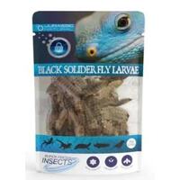 Superfresh Insects Jurassic Naturals Black Soldier Fly Larvae 20g
