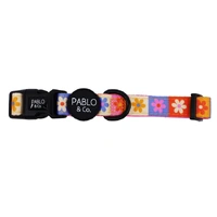 Daisies For Days Dog Collar MEDIUM