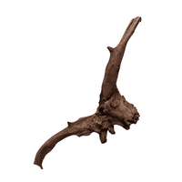 Driftwood Xlarge