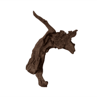 Driftwood Nano
