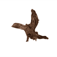 Driftwood Medium