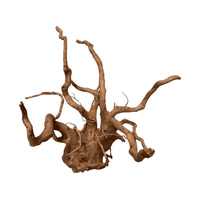Tweety Aquarium Wood Medium