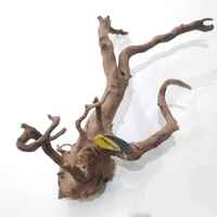 Dymax Aquarium Driftwood Tweety Wood Large