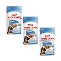 Royal Canin Maxi Puppy Food Pouch 140g