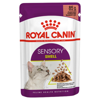 Royal Canin Sensory Smell Gravy Adult Cat Food Pouch 85g