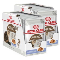 Royal Canin Ageing 12+ Senior Jelly Cat Food Pouch 24x85g