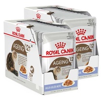 Royal Canin Cat Ageing 12+ Jelly Pouch 85g 2x Boxes (24x Pouches)