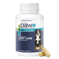 PAW Osteosupport Joint Care Powder For Dogs (150 Capsules)