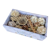 Beak Joy Peck & Play Box Small