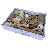 Beak Joy Peck & Play Box Large