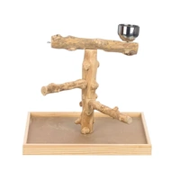 Beak Joy Bird Play Java Gym Medium