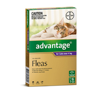 Advantage Medium & Large Cat 4kg+ (6 Pack)