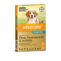 Advocate Small Dog 4-10kg (6 Pack)