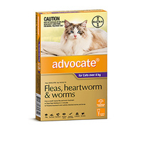 Advocate Medium & Large Cat Over 4kg (1 Pack)