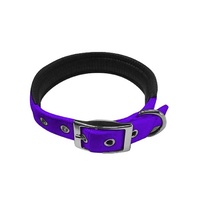 Collar Padded 55cm Purple