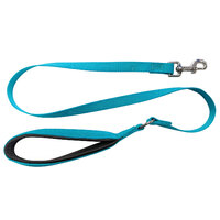 Nylon Lead Standard with Cushion Handle Turquoise 120cm