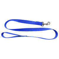 Nylon Lead Thick Blue 120cm