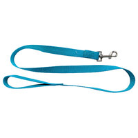 Nylon Lead Thick Turquoise 120cm