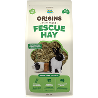 Origins Fescue Hay Mini Bale 1kg