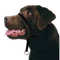 Beau Pets Gentle Leader Dog Head Collar Small Black