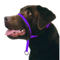 Beau Pets Gentle Leader Dog Head Collar Small Purple