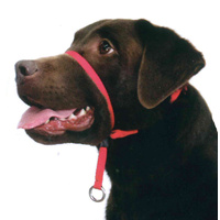 Beau Pets Gentle Leader Dog Head Collar Medium Red
