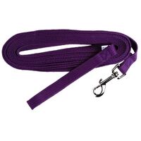Beau Pets Webbed Training Dog Lead Long 25mmx10mt Purple