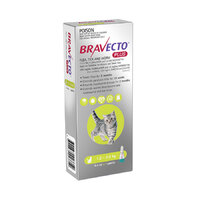 Bravecto Plus Spot-On Small Cats 1.2-2.8kg (1 Pack)