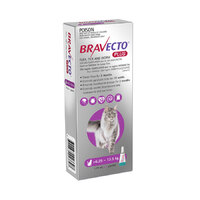 Bravecto Plus Spot-On Large Cats 6.2-12kg (1 Pack)