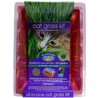 Cat Grass Sprouter Kit Mr Fothergill