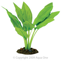 Silk Plant Amazon Broad Leaf Small