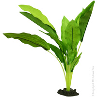 Silk Plant Amazon Broad Leaf Large
