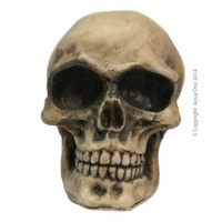 Aqua One Skull Small Ornament