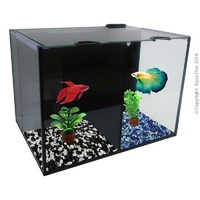 Betta Tank Villa Duo 6L
