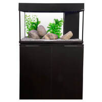 Aqua One AquaVogue 125 Aquarium Black 125L