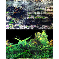 Background Black Plant 61 x 120cm Roll