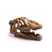 Aqua Ornament Dinosaur Skull 23.4cm