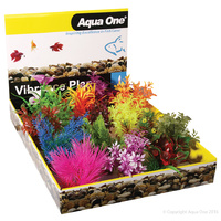 Vibrance Plant Small Assorted (each)