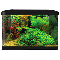 Aqua One Lifestyle 52 Gloss Black 52L