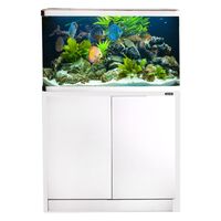 Freshwater Aquariums Planted Fish Tanks Shop For High Quality Aquariums