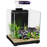 Betta Sanctuary Glass 10L Black